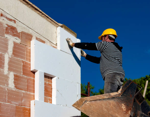 Best Eco-Friendly Insulation in Schofield, WI