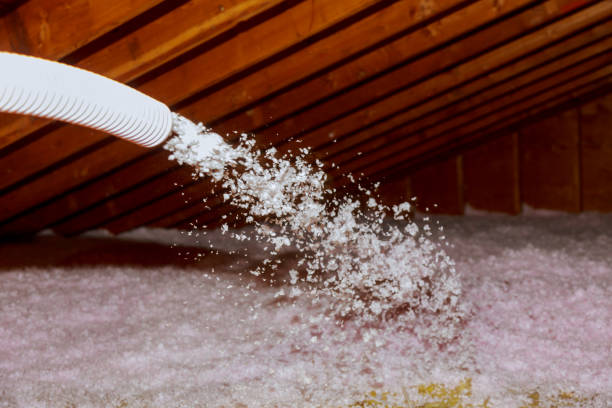 Best Fiberglass Insulation in Schofield, WI