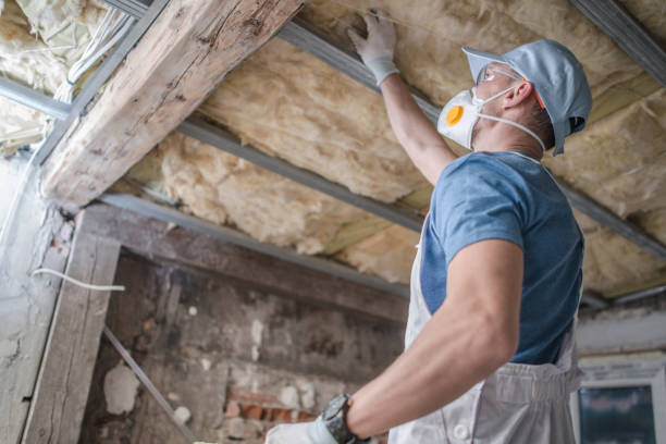 Best Cellulose Insulation in Schofield, WI